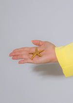 Starfish Elegance Brooch Gold